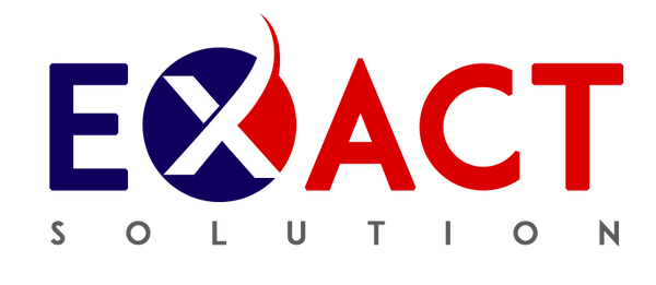 Exact Solutions Logo